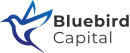 Логотип Bluebird Capital