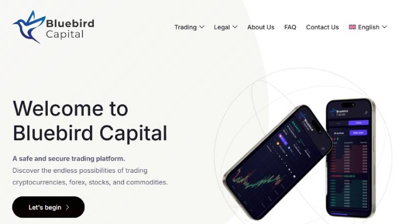 Bluebird Capital
