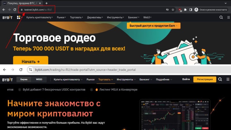 Биржа Bybit и схемы обмана, связанные с ней