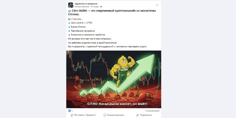 Lime Academy и экосистема CITRO: что связывает академию, токен, биржу и Telegram-кошелек