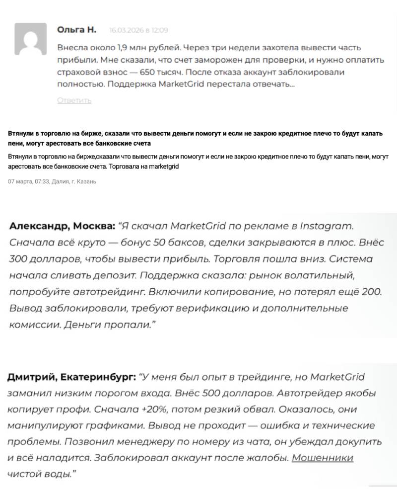 MarketGrid — торговый терминал, используемый в схемах обмана пользователей