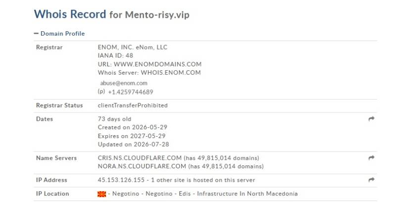 Mentorisy