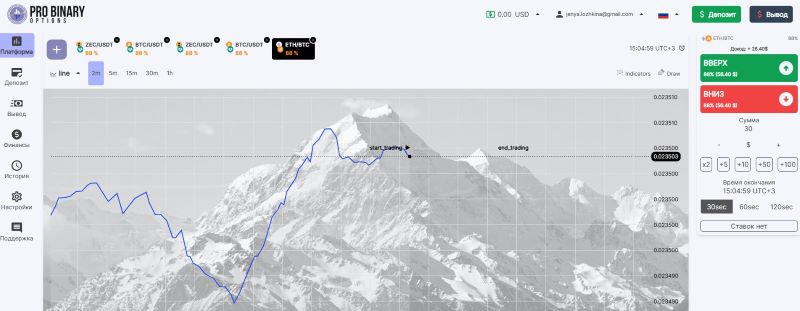 Pro Binary Options