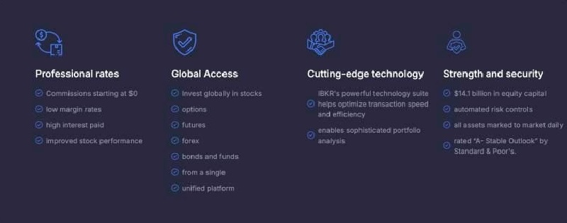 Welbit Limited