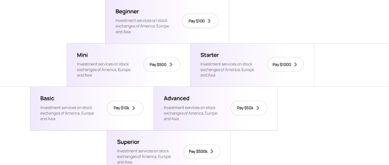 Market Securities (Dubai) Limited LTD