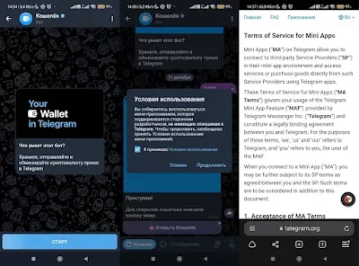 Wallet in Telegram