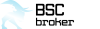 BSC Broker logo