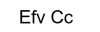 Efv Cc logotype