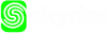 Skyriss logotype