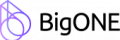 BigONE logotype