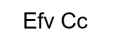 Efv Cc logotype