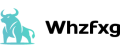 Whzfxg logotype