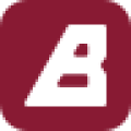 Bikoinal logotype