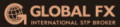 Global FX logotype