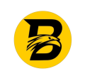 Bitzay logotype
