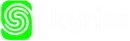 Логотип Skyriss