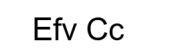 Efv Cc logotype