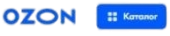 Ozonskze logotype