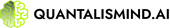 Quantalismind AI logotype