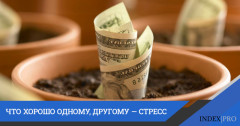 Один вложился. Ему сопутствовал успех. Другой последовал его примеру. Но получилось как на грех. Всему виной амбиции не в меру