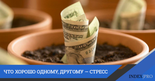 Один вложился. Ему сопутствовал успех. Другой последовал его примеру. Но получилось как на грех. Всему виной амбиции не в меру