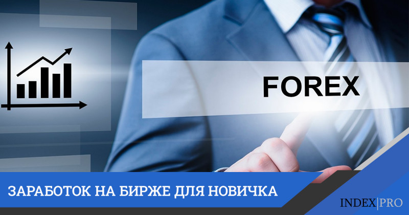 Как новичку торговать на бирже?