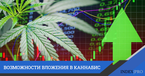 9 возрастающих акций от производителей марихуаны на бирже